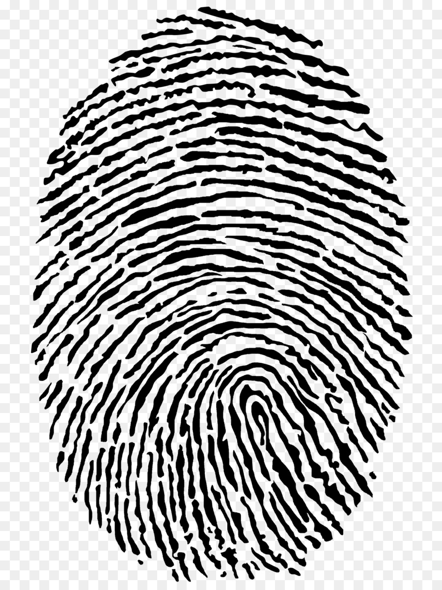 Fingerprint Identity theft Clip art - finger print png download - 1200*1600 - Free Transparent Fingerprint png Download.