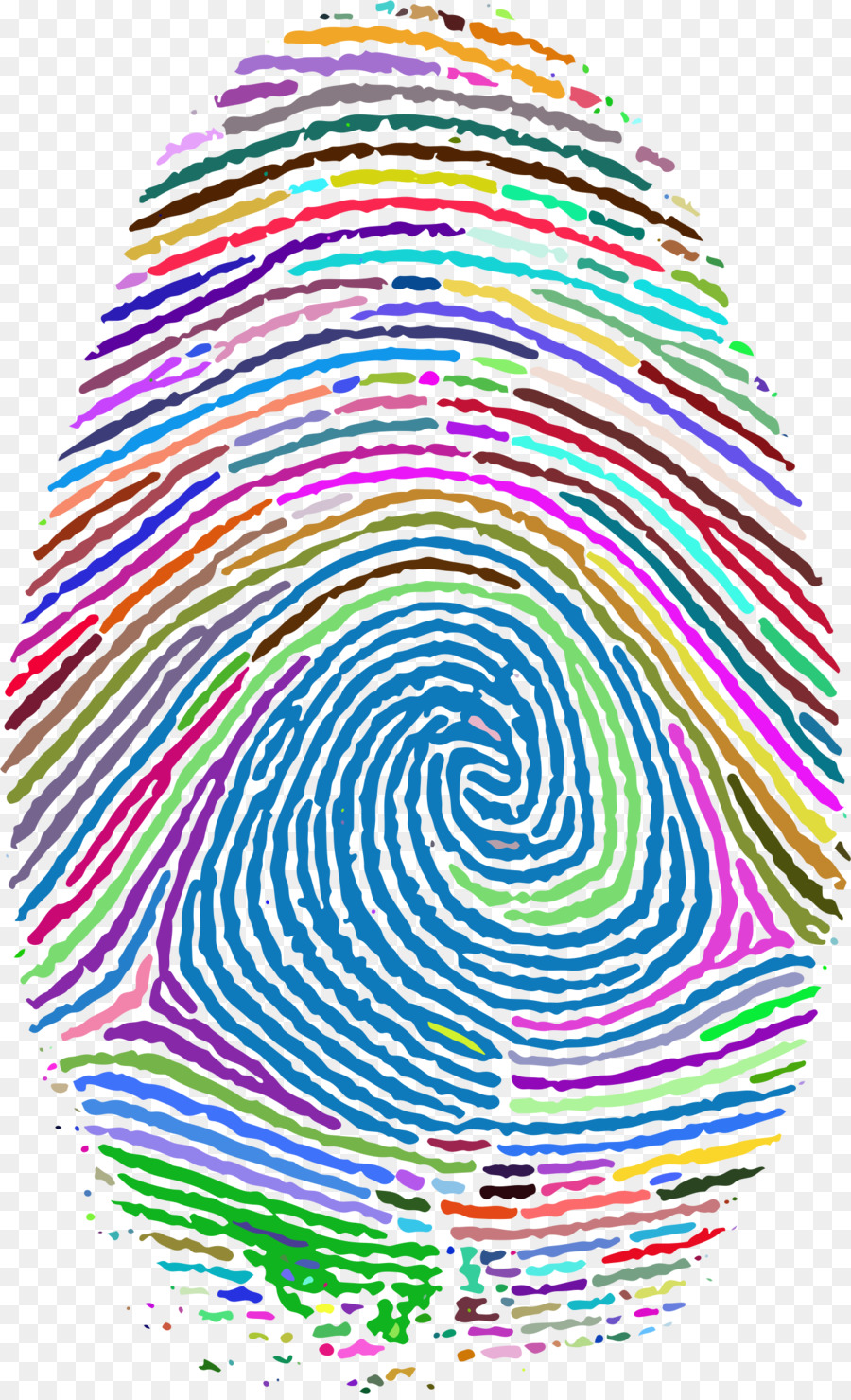 Fingerprint Footprint Clip art - finger print png download - 1406*2302 - Free Transparent Fingerprint png Download.
