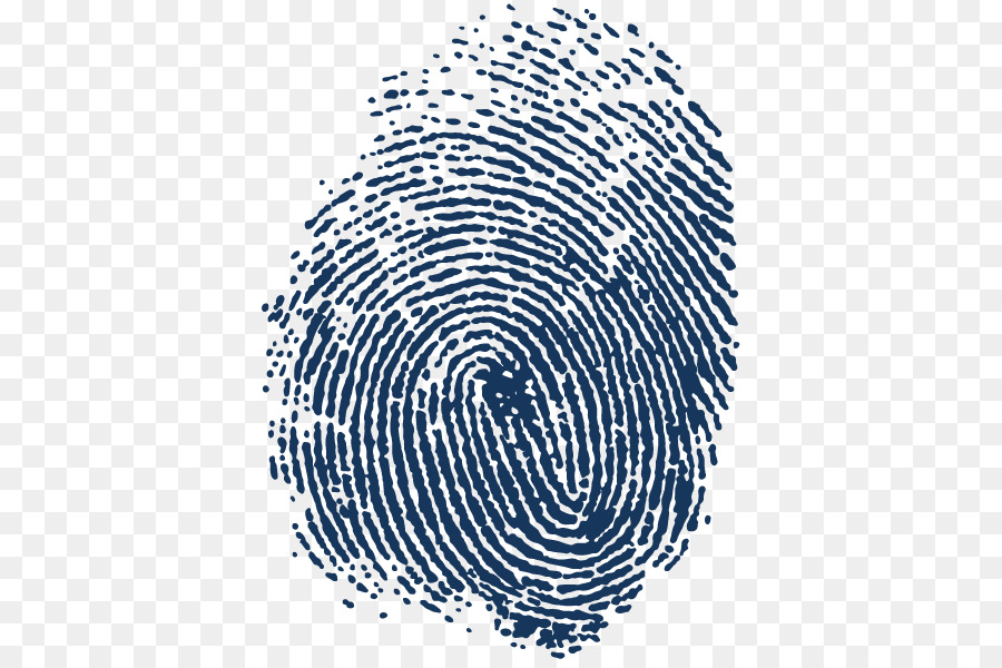 Automated fingerprint identification Spiral Adermatoglyphia - fingerprints png download - 595*595 - Free Transparent Fingerprint png Download.