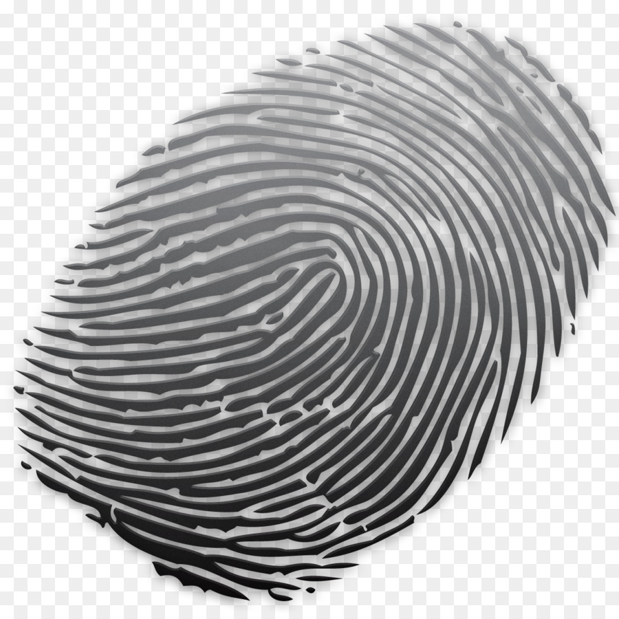Fingerprint Powder coating Glass Spiral - fingerprints png download - 1254*1250 - Free Transparent Fingerprint png Download.