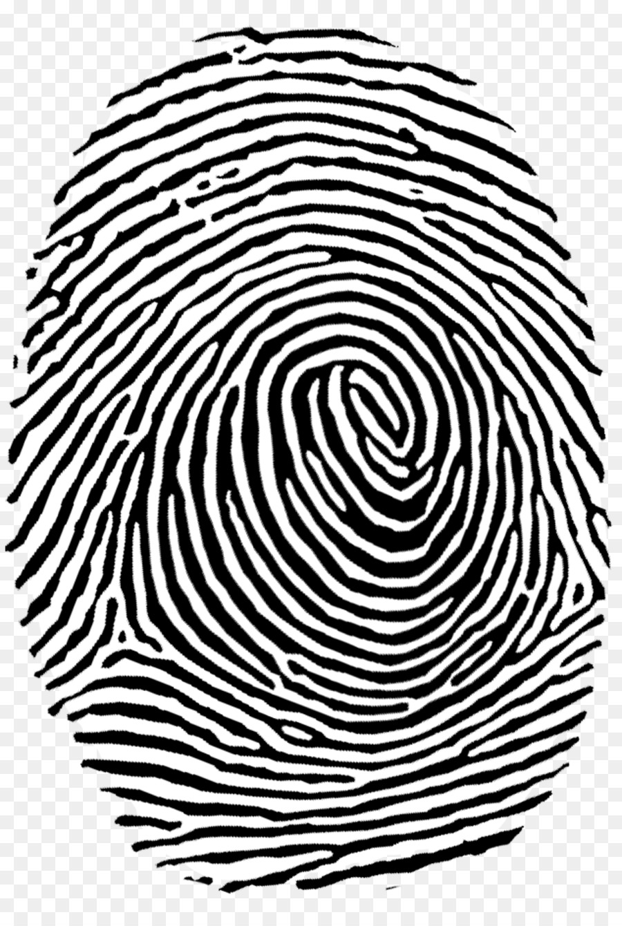 Fingerprint Authentication Clip art - fingerprint png download - 947*1395 - Free Transparent Fingerprint png Download.