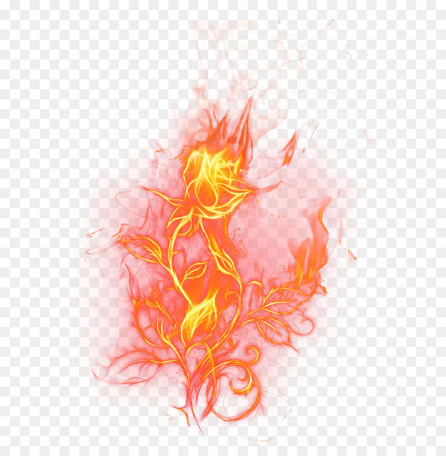 Fire Clip art - Transparent Fire Rose PNG Clipart Picture png download - 3074*4344 - Free Transparent  png Download.