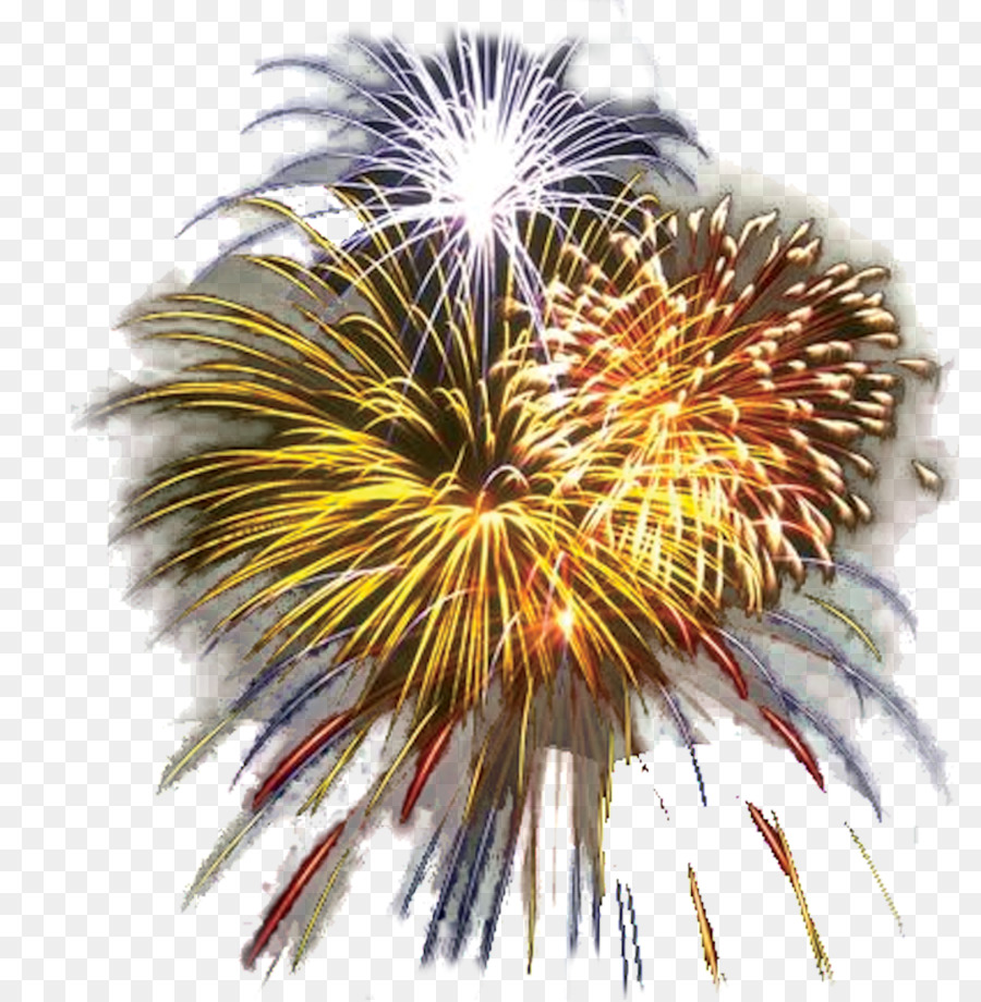 Fourth of July Celebration Fireworks Clip art - Fl Cliparts png download - 1080*1102 - Free Transparent Fourth Of July Celebration png Download.