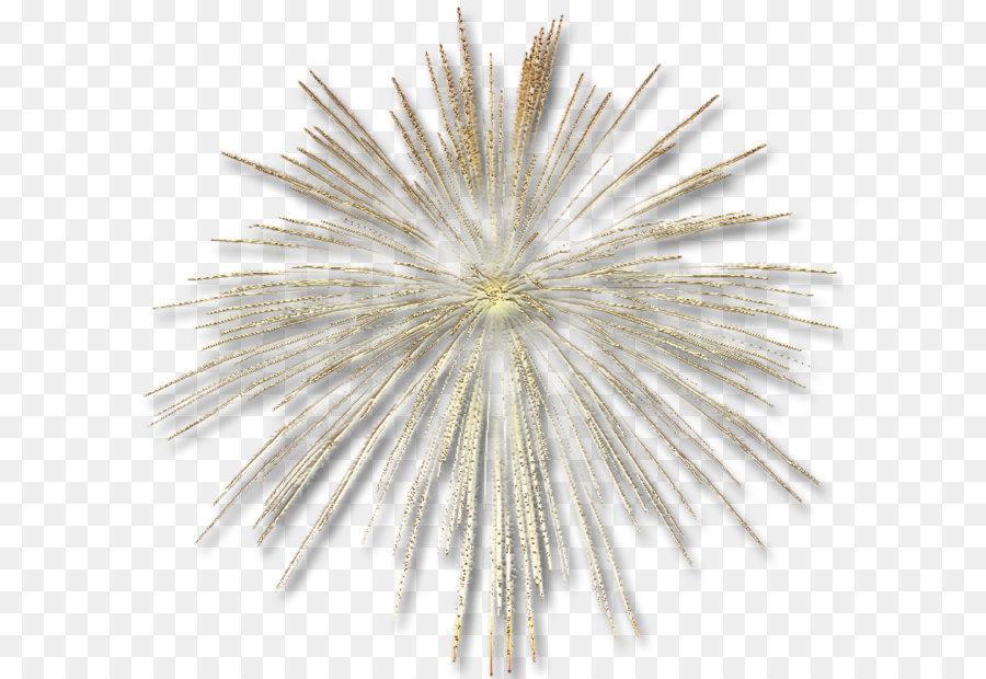 Fireworks Clip art - Transparent Gold Fireworks Effect png download - 815*777 - Free Transparent Fireworks png Download.