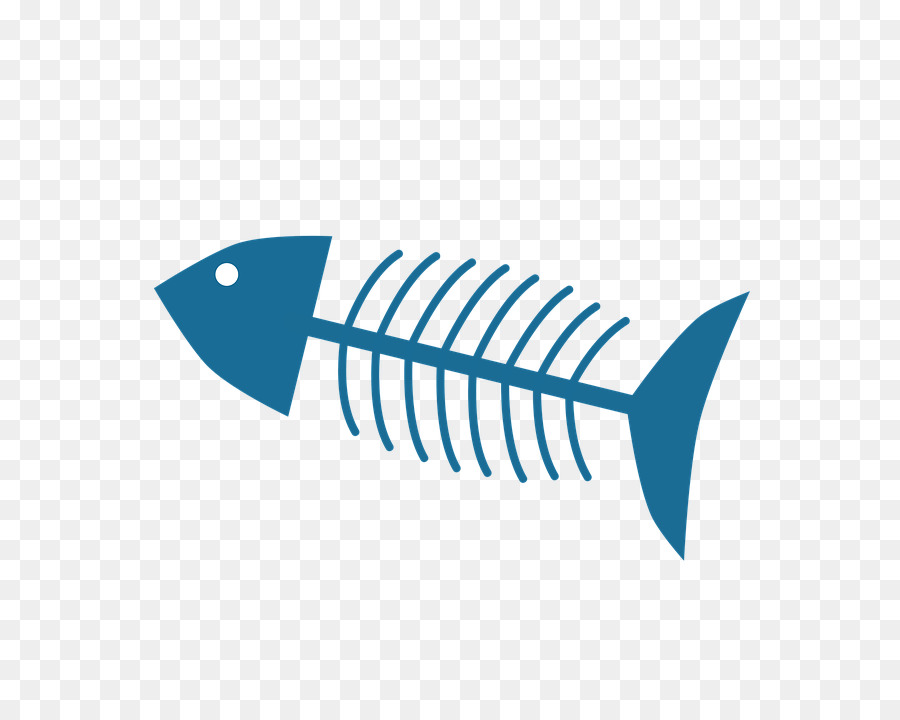 Fish Bone - fish bones png download - 720*720 - Free Transparent Fish png Download.