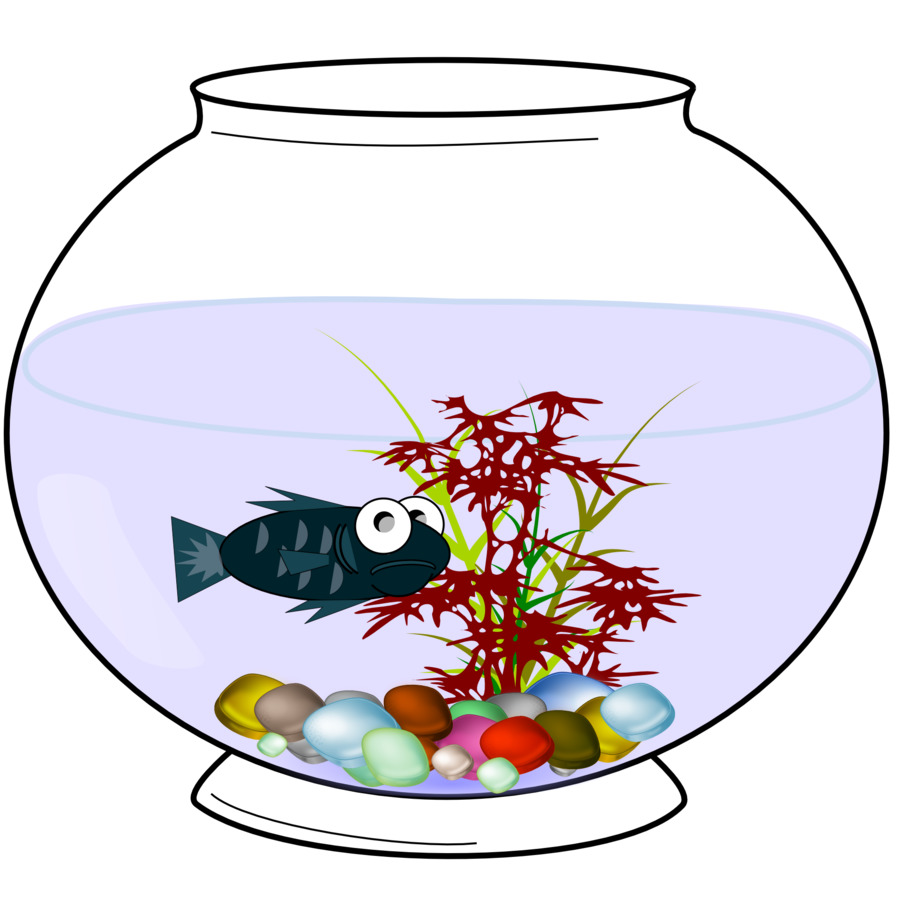 Fish Bowl Clip art - Aquarium png download - 1920*1920 - Free Transparent Fish png Download.