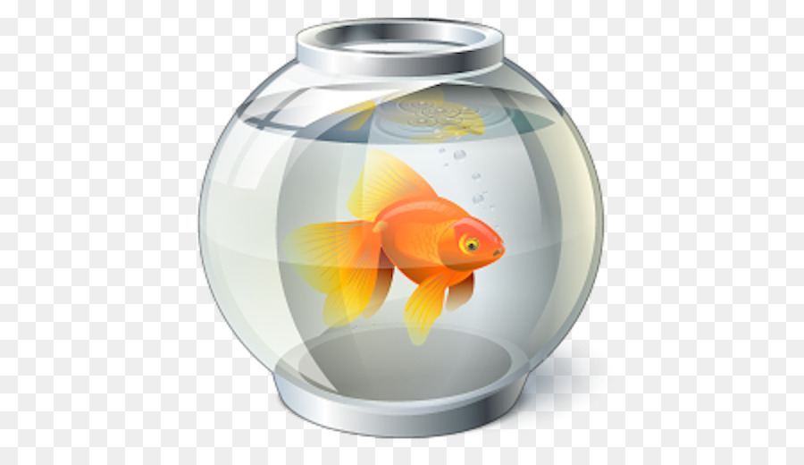 Goldfish Bowl Computer Icons - others png download - 512*512 - Free Transparent Goldfish png Download.