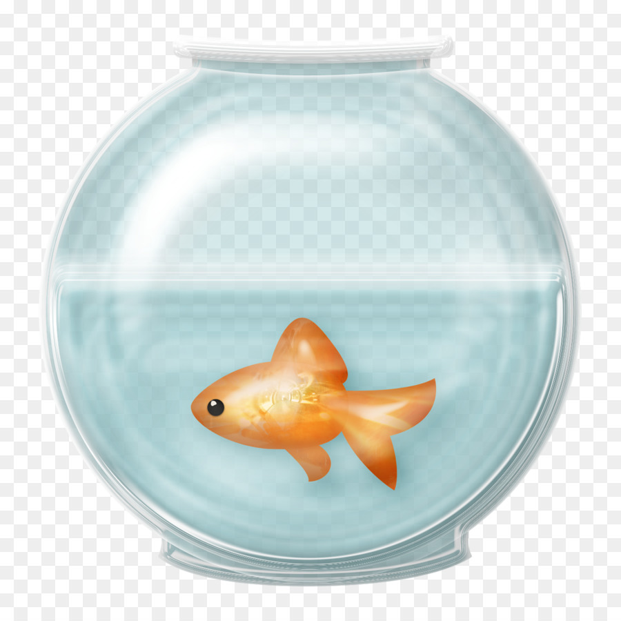 Goldfish Clip art - fish bowl png download - 900*900 - Free Transparent Goldfish png Download.