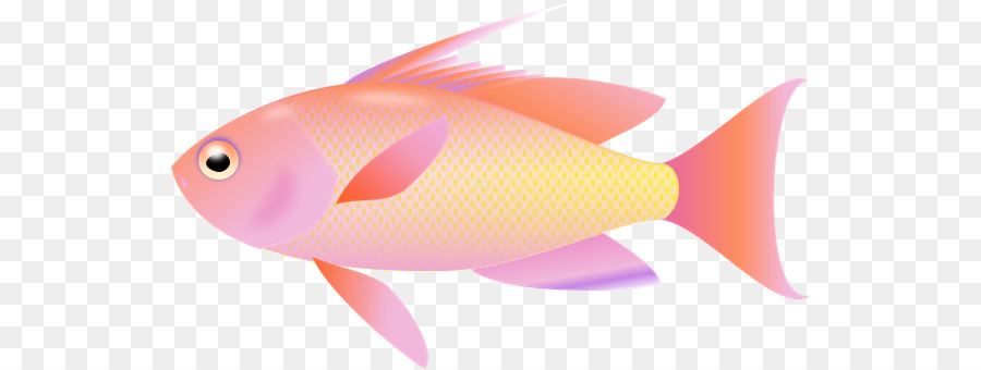 Desktop Wallpaper Fish Clip art - fish png download - 586*339 - Free Transparent Desktop Wallpaper png Download.
