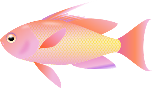 Desktop Wallpaper Fish Clip art - fish png download - 586*339