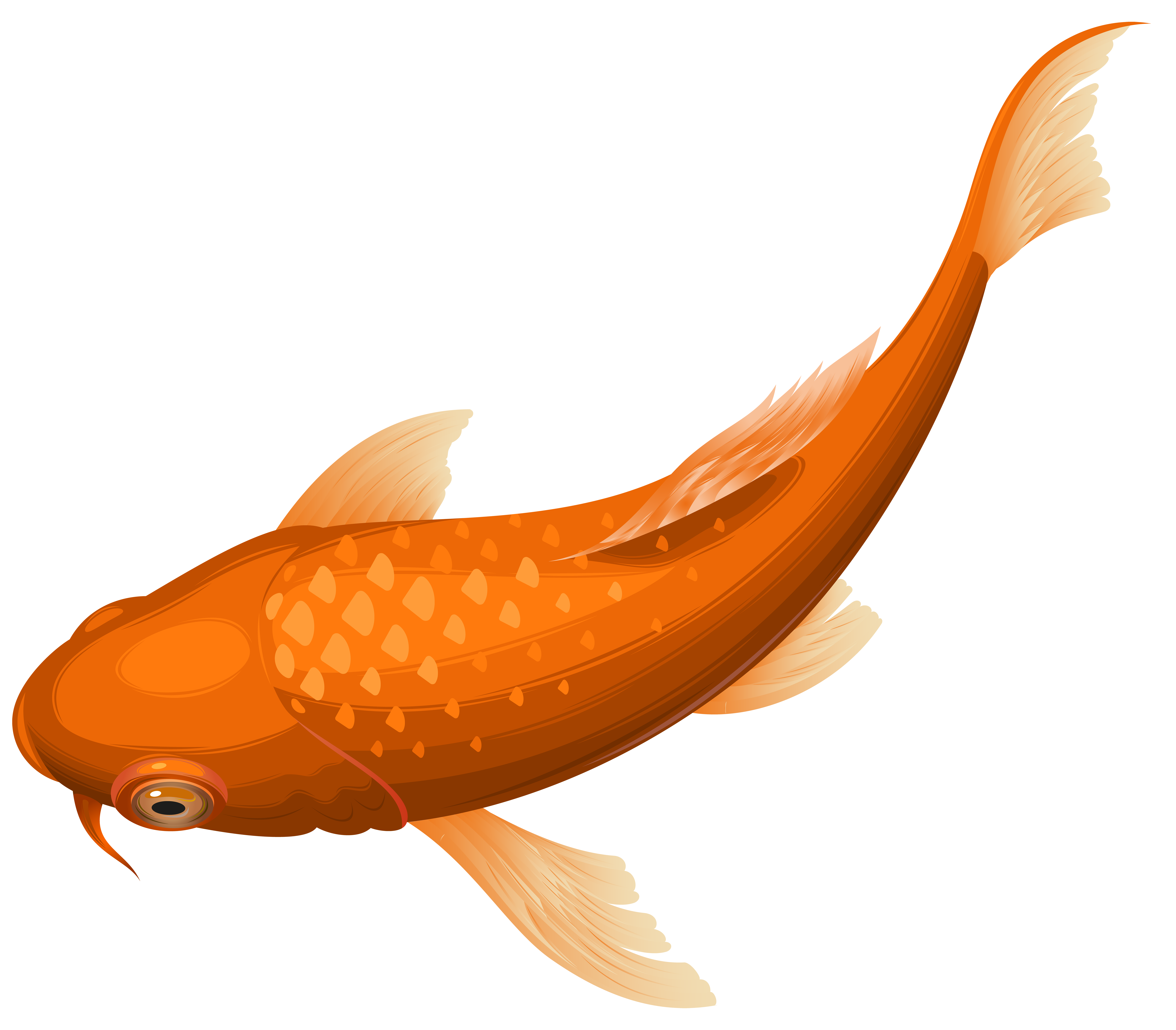 Koi Goldfish Clip Art Orange Koi Fish Transparent Clip Art PNG Image ...