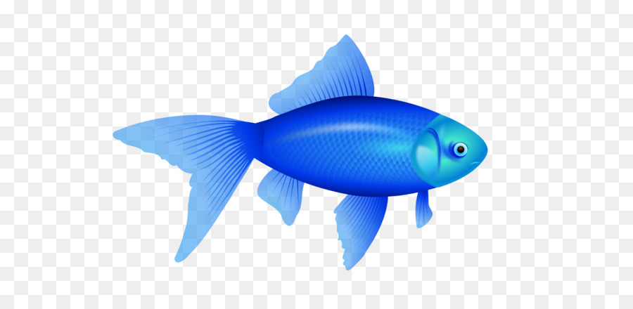 Fish Clip art - blue fish PNG image png download - 1969*1307 - Free Transparent Fish png Download.