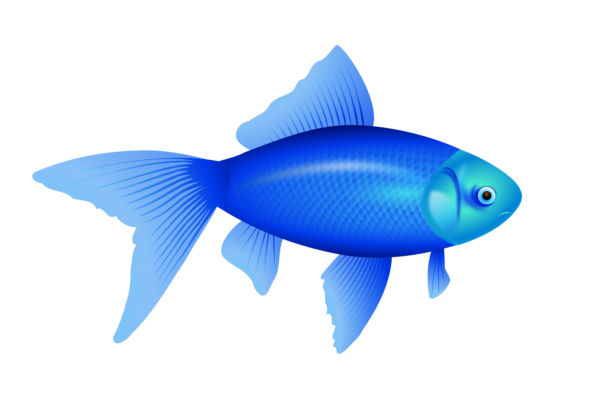 Fish Clip art - blue fish PNG image png download - 1969*1307 - Free ...