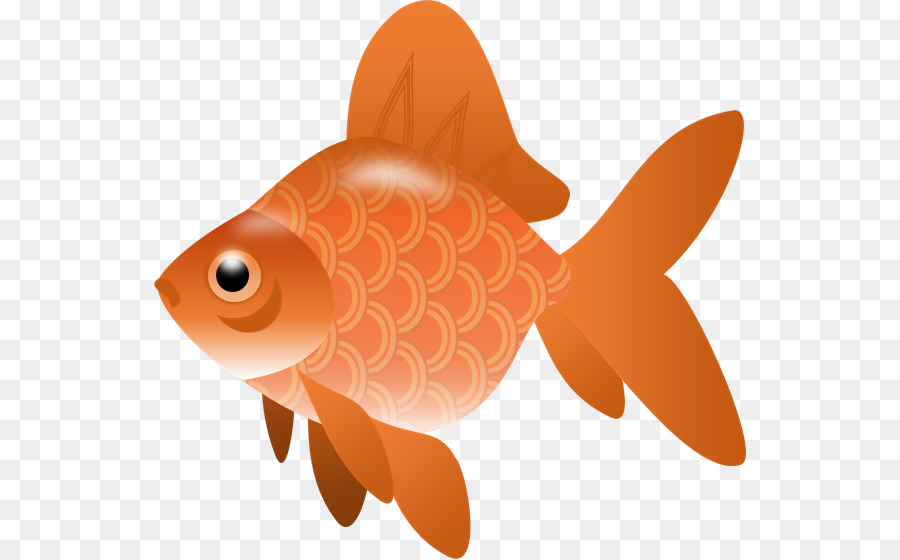 Fish Clip art - Free Fish Cliparts png download - 592*559 - Free Transparent Fish png Download.