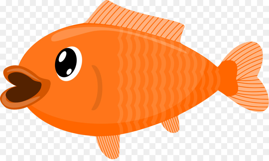 Bony fishes Clip art - fish png download - 1758*1044 - Free Transparent Fish png Download.