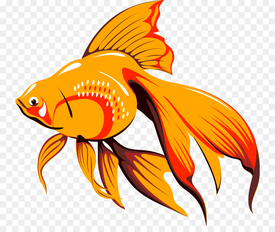 Veiltail Fish Free content Clip art - Gold Fish Clipart png download - 800*741 - Free Transparent Veiltail png Download.