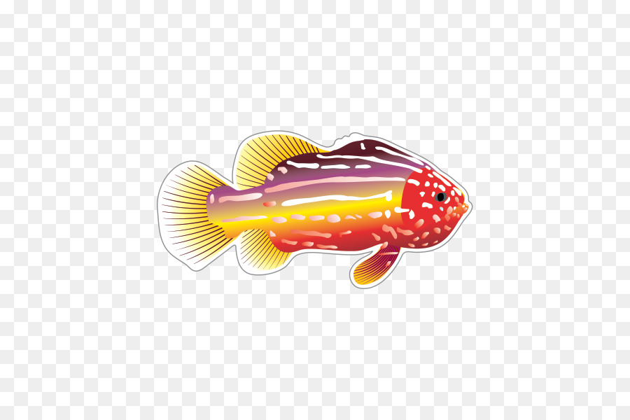 Fish Drawing Clip art - fish png download - 600*600 - Free Transparent Fish png Download.