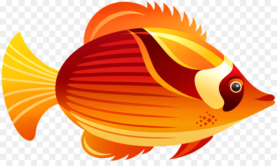 Clip art Portable Network Graphics Image GIF Euclidean vector - orange fish png download - 8000*4686 - Free Transparent Paper Clip png Download.