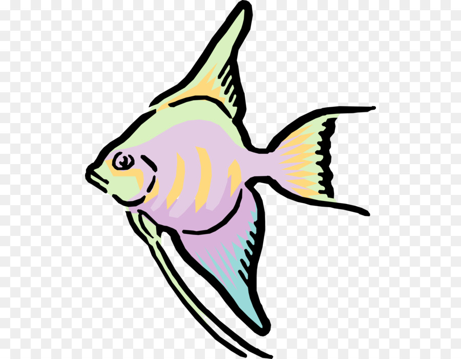 Clip art Vector graphics Fish GIF Image - fish png download - 568*700 - Free Transparent Fish png Download.