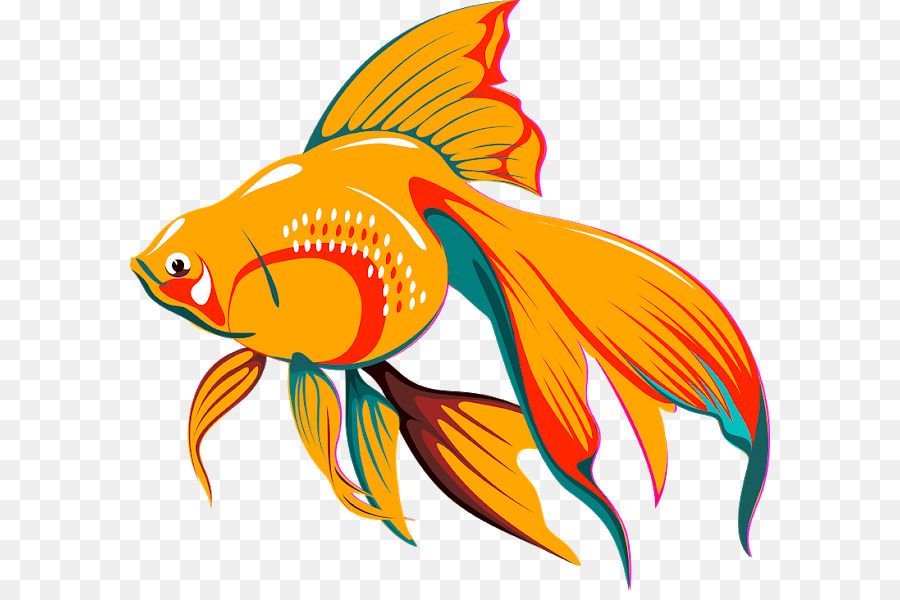 Goldfish Koi Aquarium Clip art - fish png download - 640*591 - Free Transparent Goldfish png Download.