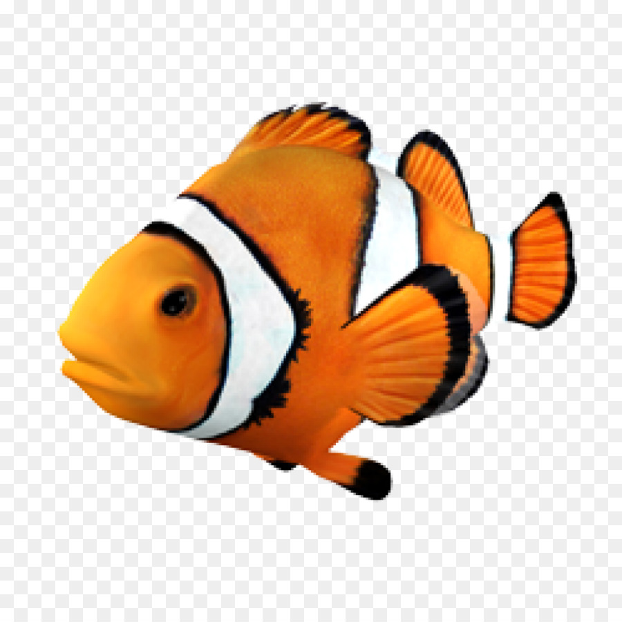 Goldfish Clownfish Angelfish Tropical fish - fish png download - 1024*1024 - Free Transparent Fish png Download.
