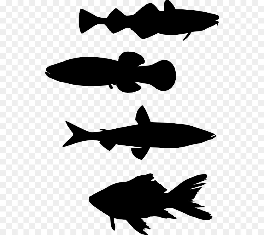 Fishing Silhouette Clip art - shoal png download - 594*800 - Free Transparent Fish png Download.