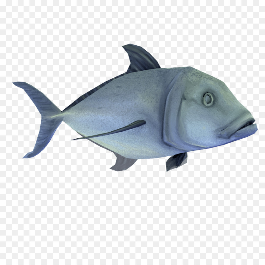 Fishing Hawaiian Carangidae - dead fish png download - 4069*4069 - Free Transparent Fish png Download.