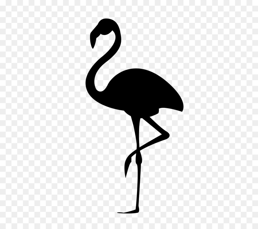 Flamingo Silhouette Stencil - flamingo png download - 800*800 - Free Transparent Flamingo png Download.