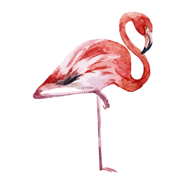 Flamingo Printing Canvas print Printmaking - flamingo png download ...