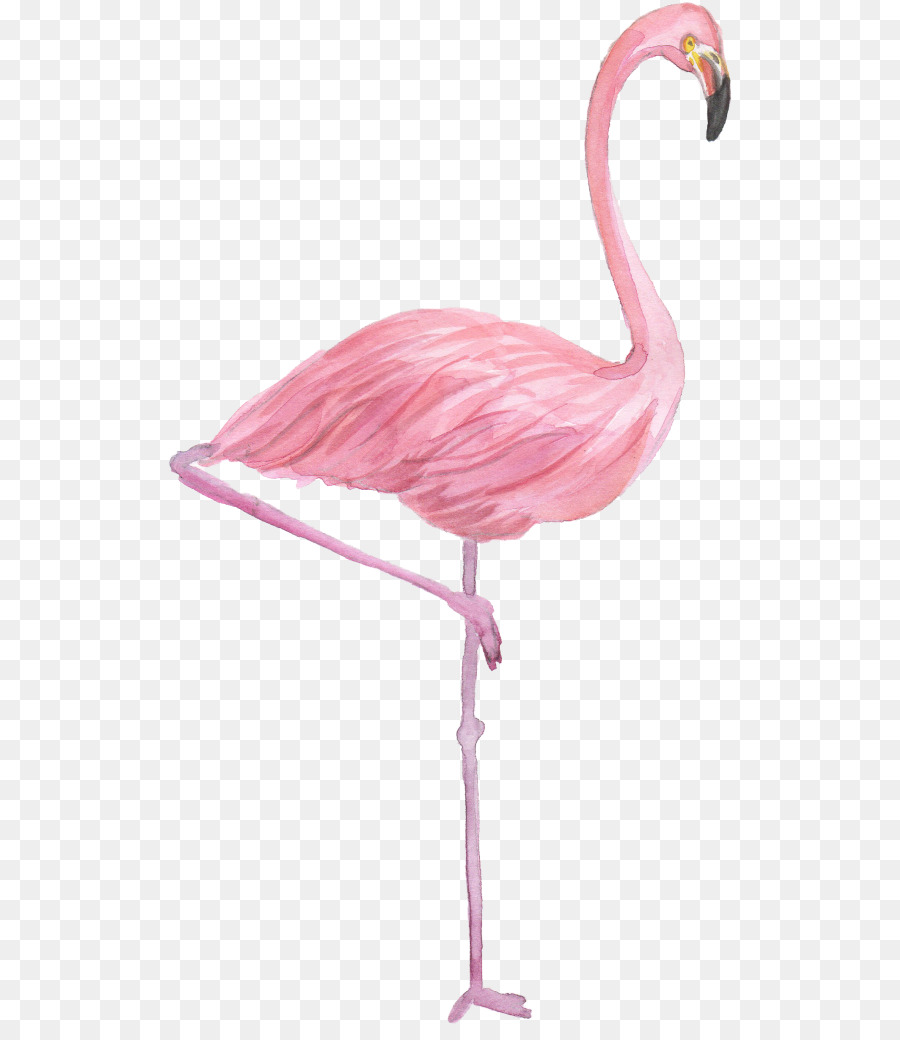 Flamingo Drawing Watercolor painting - flamingo png download - 567*1024 - Free Transparent Flamingo png Download.