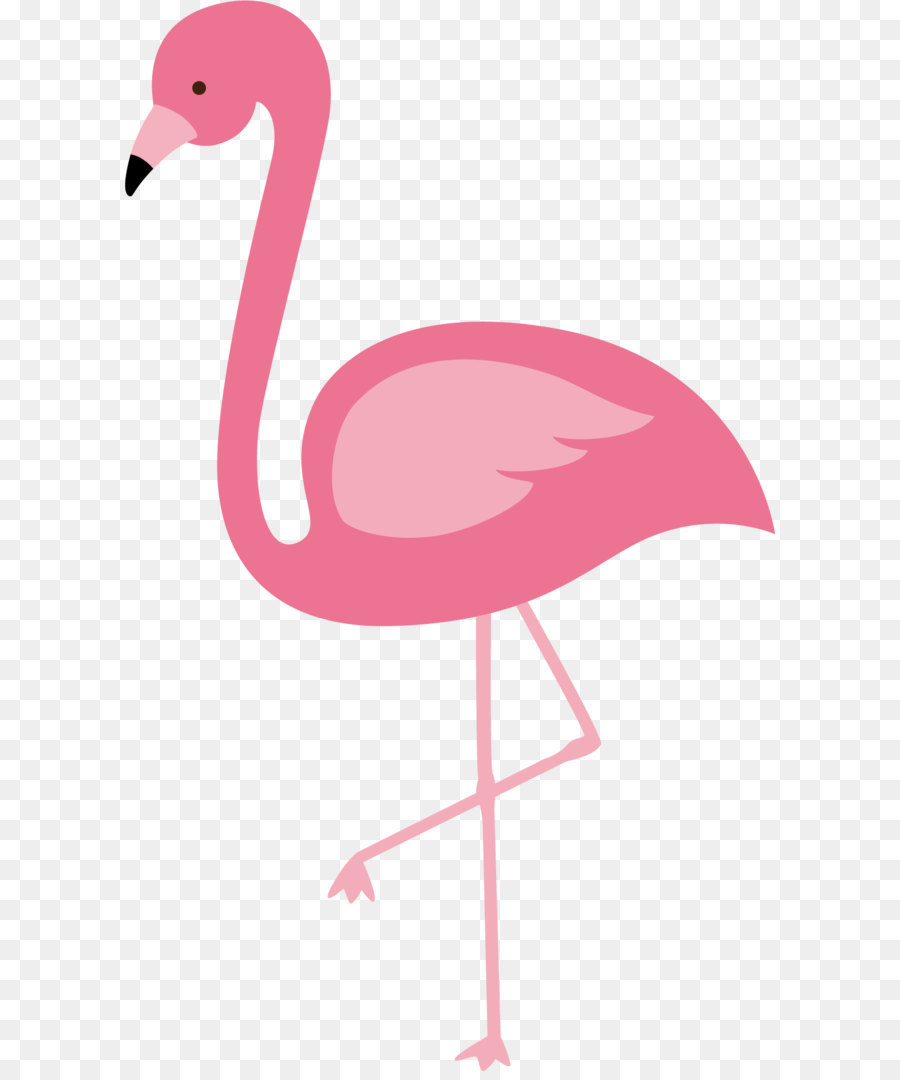 Flamingos Bird Euclidean vector - Red Flamingo Vector png download - 1124*1852 - Free Transparent Flamingo ai,png Download.