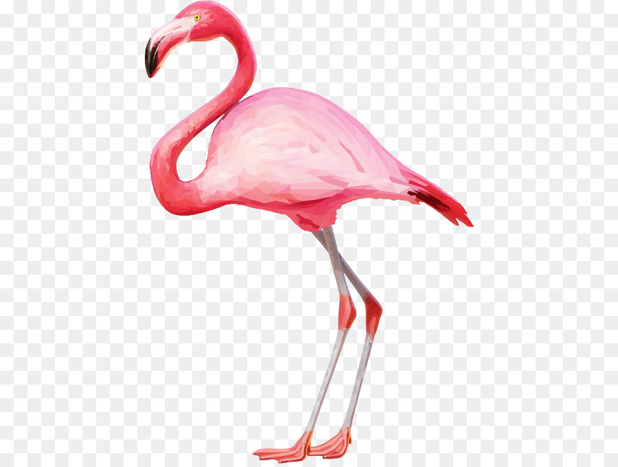 Flamingo Clip art - flamingo png download - 480*675 - Free Transparent Flamingo png Download.