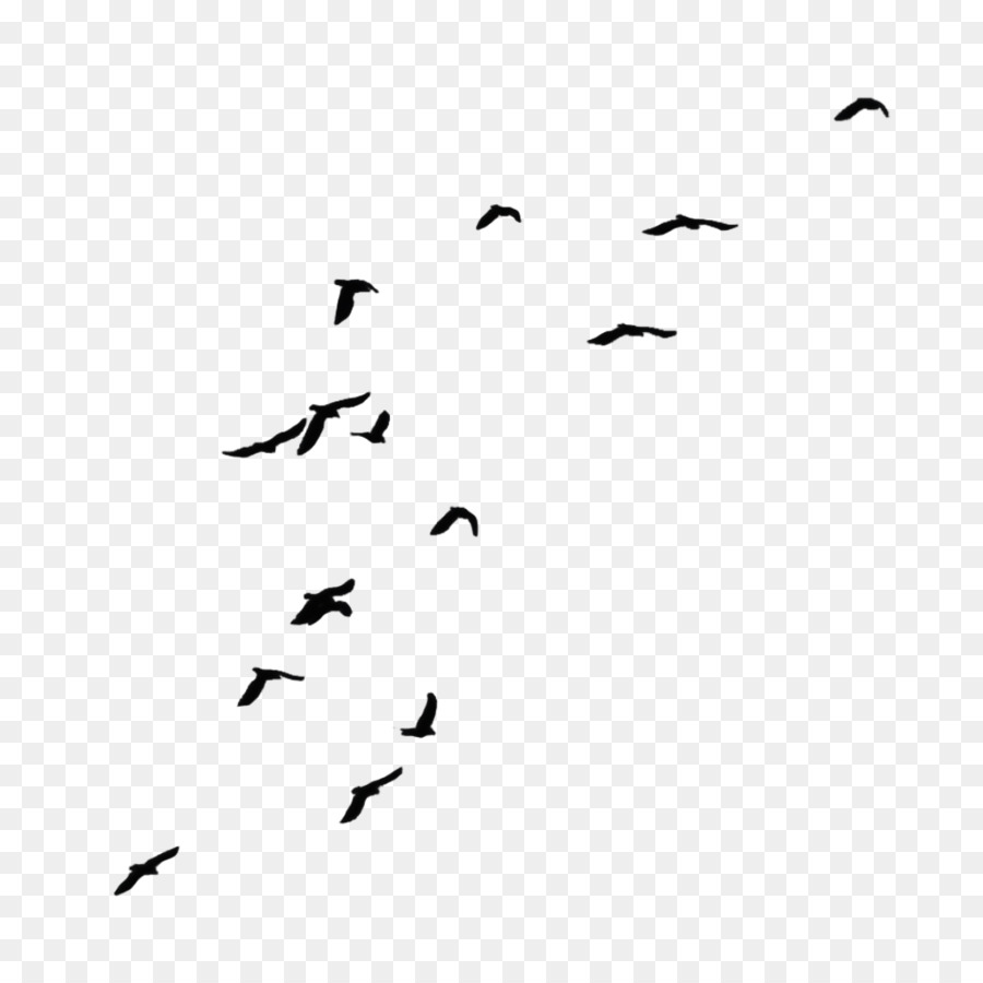 Bird Flock Clip art - bird watercolor png download - 1024*1024 - Free Transparent Bird png Download.