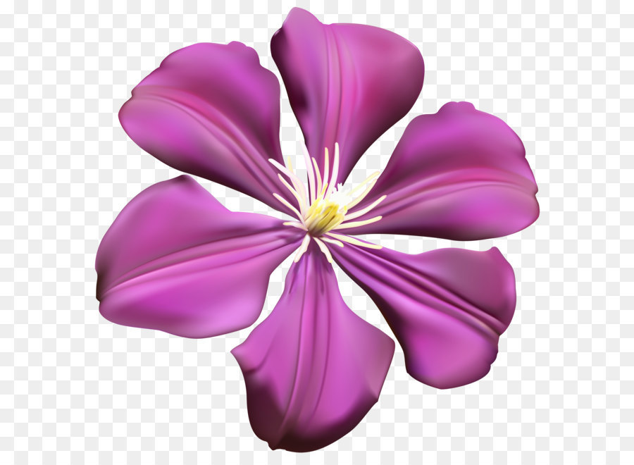 Purple Flower - Purple Flower Transparent PNG Clip Art Image png download - 4976*5000 - Free Transparent Flower png Download.