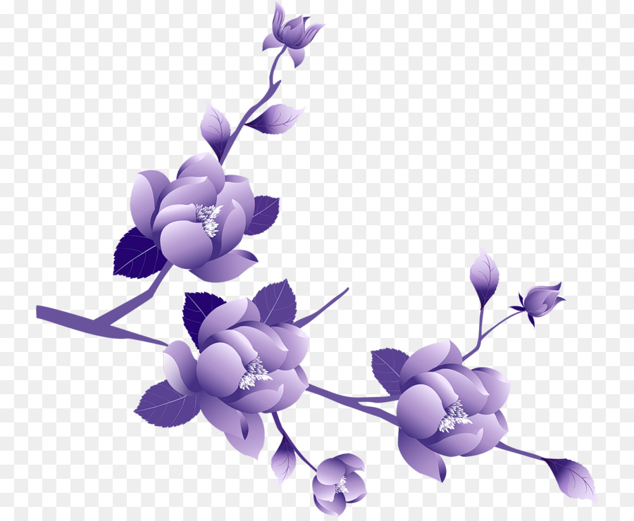 Purple Flower Rose Clip art - Transparent Floral Cliparts png download - 800*734 - Free Transparent Purple png Download.
