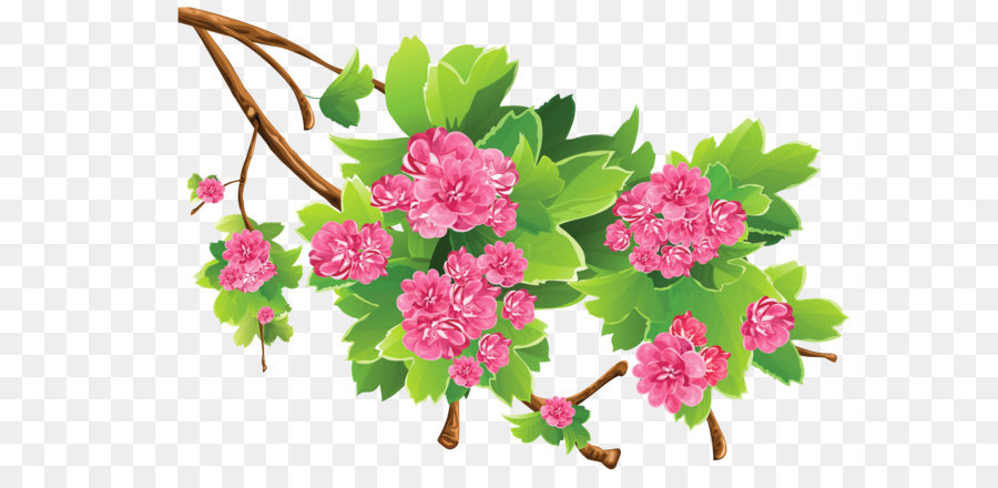 Spring Clip art - Spring Branch Transparent PNG Clipart Picture png download - 5419*3618 - Free Transparent Flower png Download.