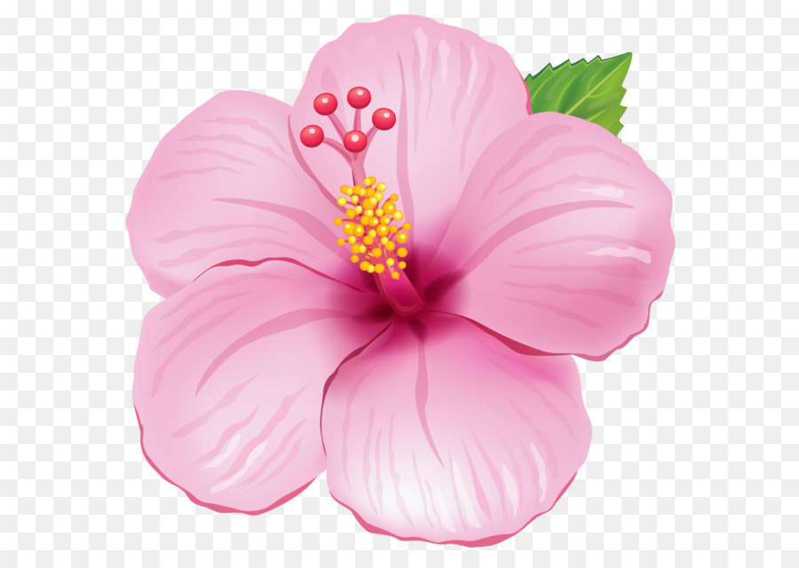 Flower Stock illustration Clip art - Pink Exotic Flower PNG Clipart Picture png download - 1385*1348 - Free Transparent Flower png Download.