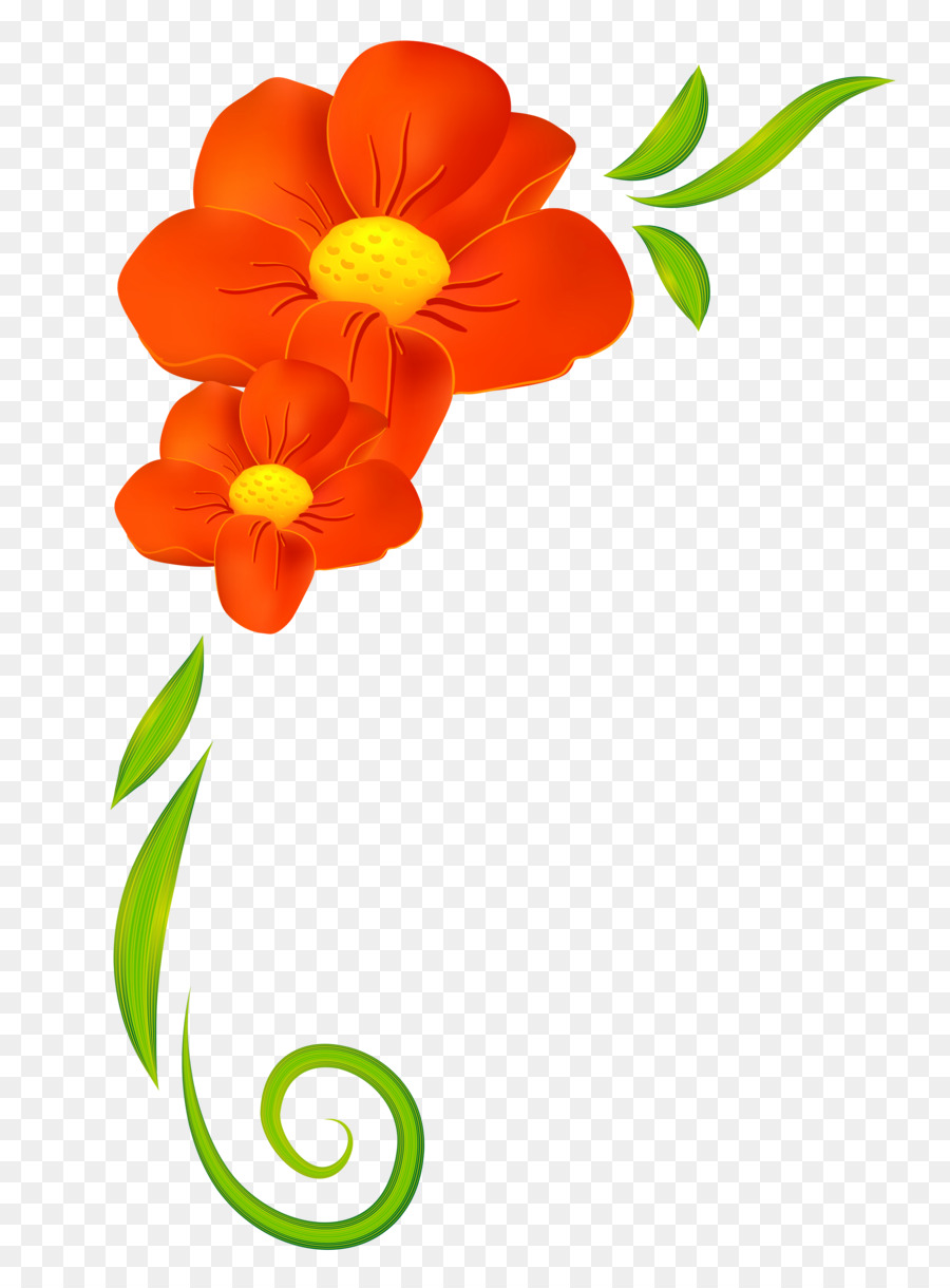 Flower Orange Clip art - Orange Flower Clipart png download - 3924*5263 - Free Transparent Flower png Download.