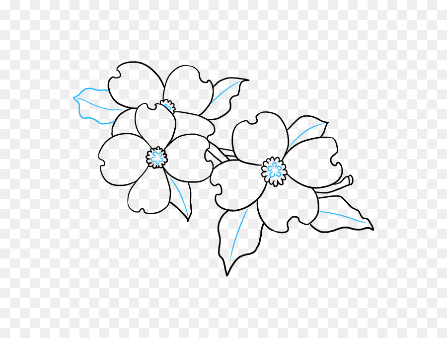 Flowering dogwood Drawing Image Petal - how to draw a flower png drawn png download - 680*678 - Free Transparent Flowering Dogwood png Download.
