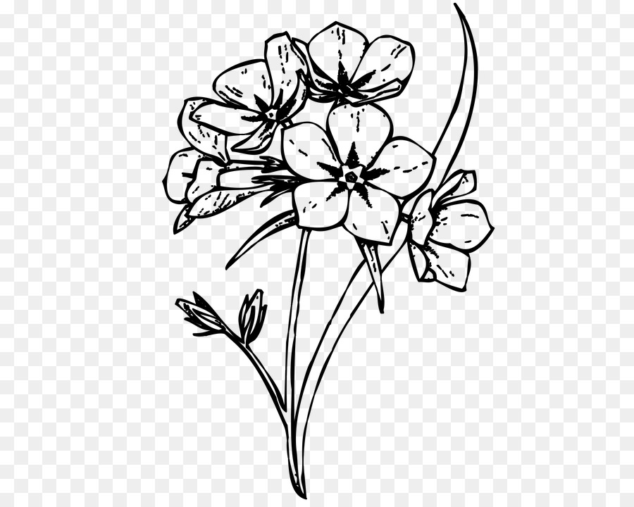 Floral design /m/02csf Cut flowers Drawing -  png download - 720*720 - Free Transparent Floral Design png Download.