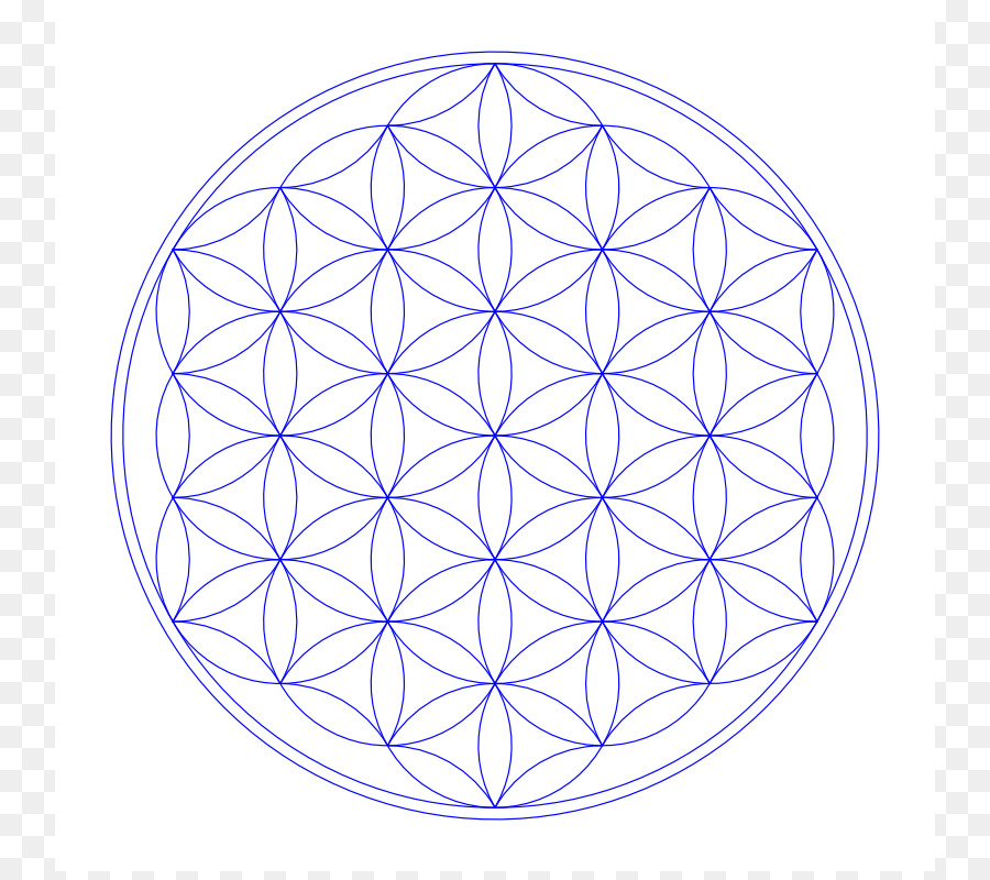 Overlapping circles grid Sacred geometry Tree of life Mandala Metatron - Tree Of Life Vector png download - 800*792 - Free Transparent Overlapping Circles Grid png Download.