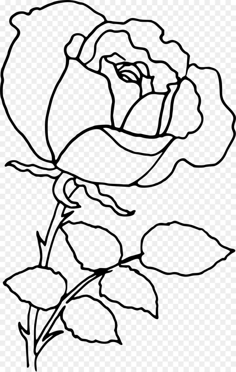 Rose Flower Drawing Clip art - line drawing png download - 1523*2400 - Free Transparent Rose png Download.