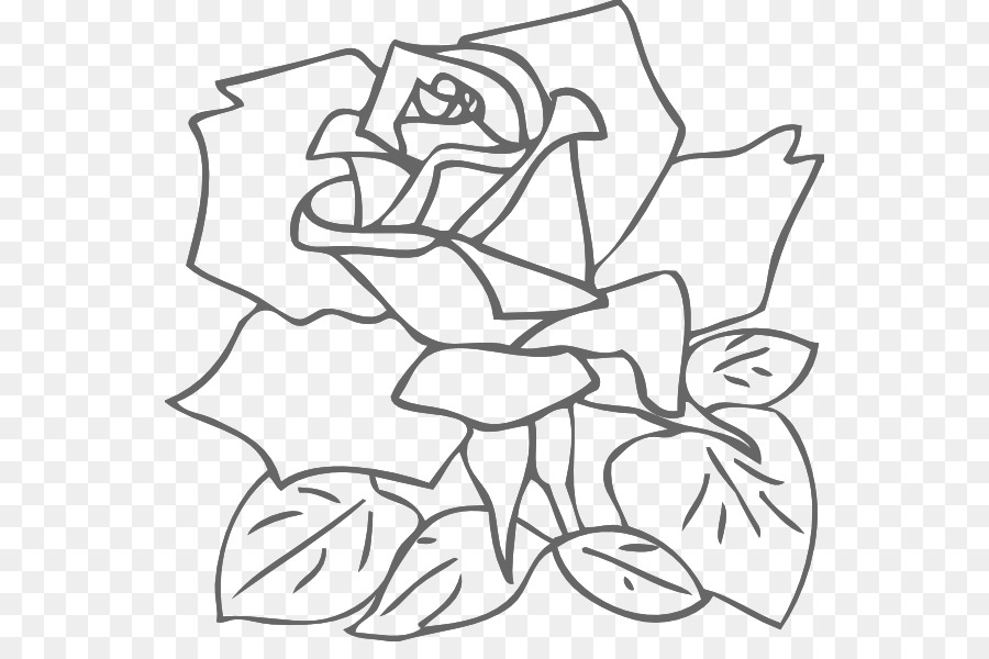 Rose Drawing Pink Clip art - Roses Outline png download - 600*584 - Free Transparent Rose png Download.