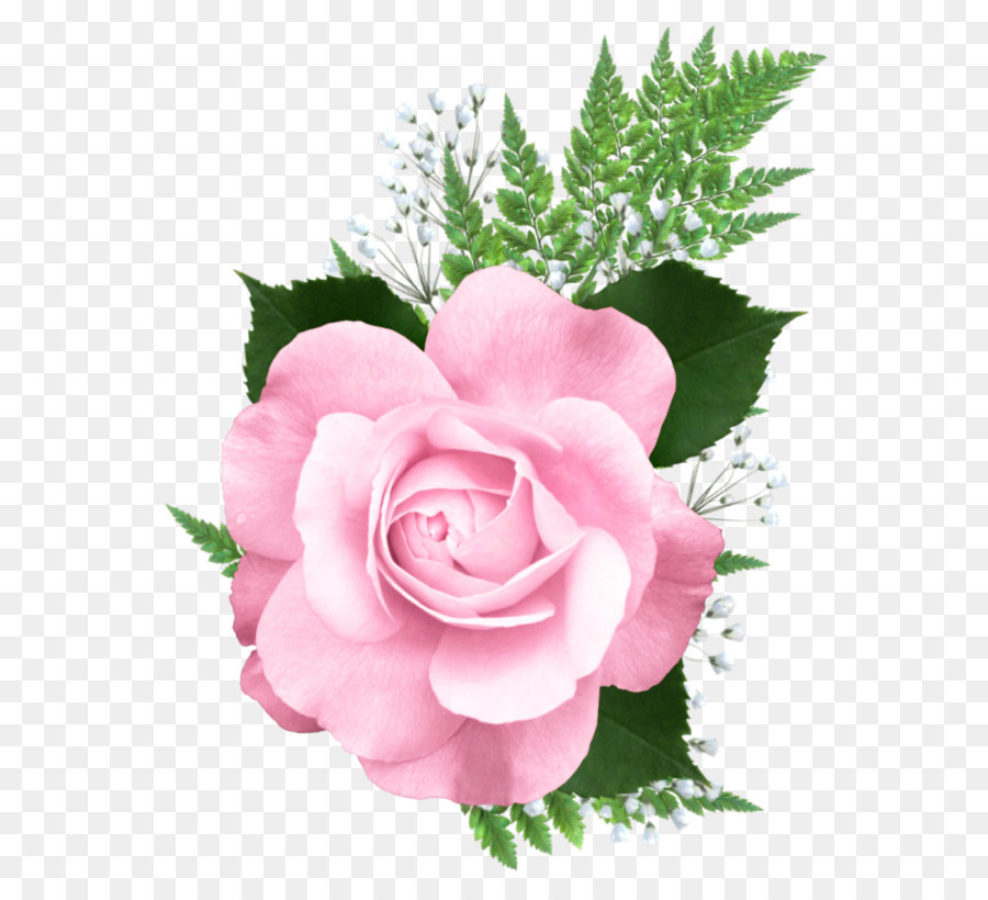Rose Pink Clip art - Pink Rose PNG Transparent Picture png download - 673*845 - Free Transparent Rose png Download.