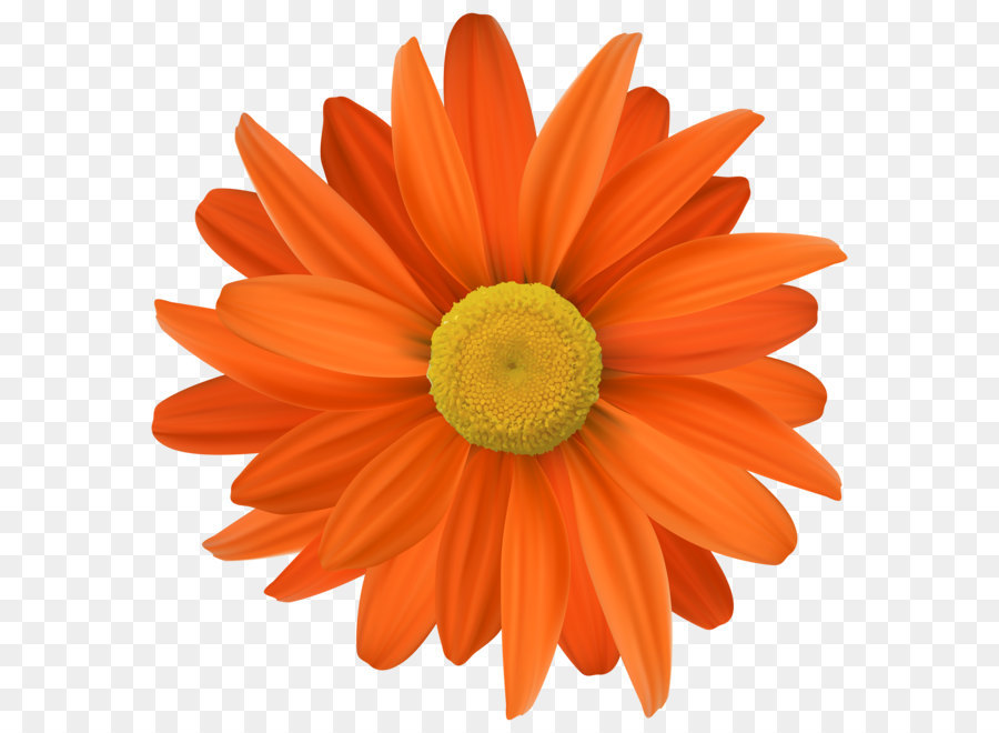Flower - Orange Flower Transparent PNG Clip Art png download - 5000*5076 - Free Transparent Flower png Download.
