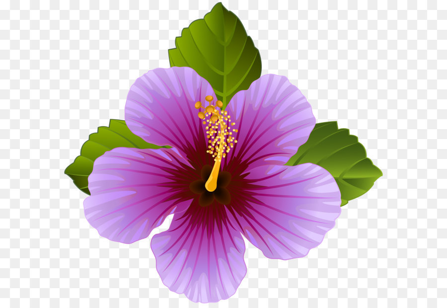 Flower Purple Clip art - Purple Flower Transparent Clip Art Image png download - 8000*7573 - Free Transparent Flower png Download.