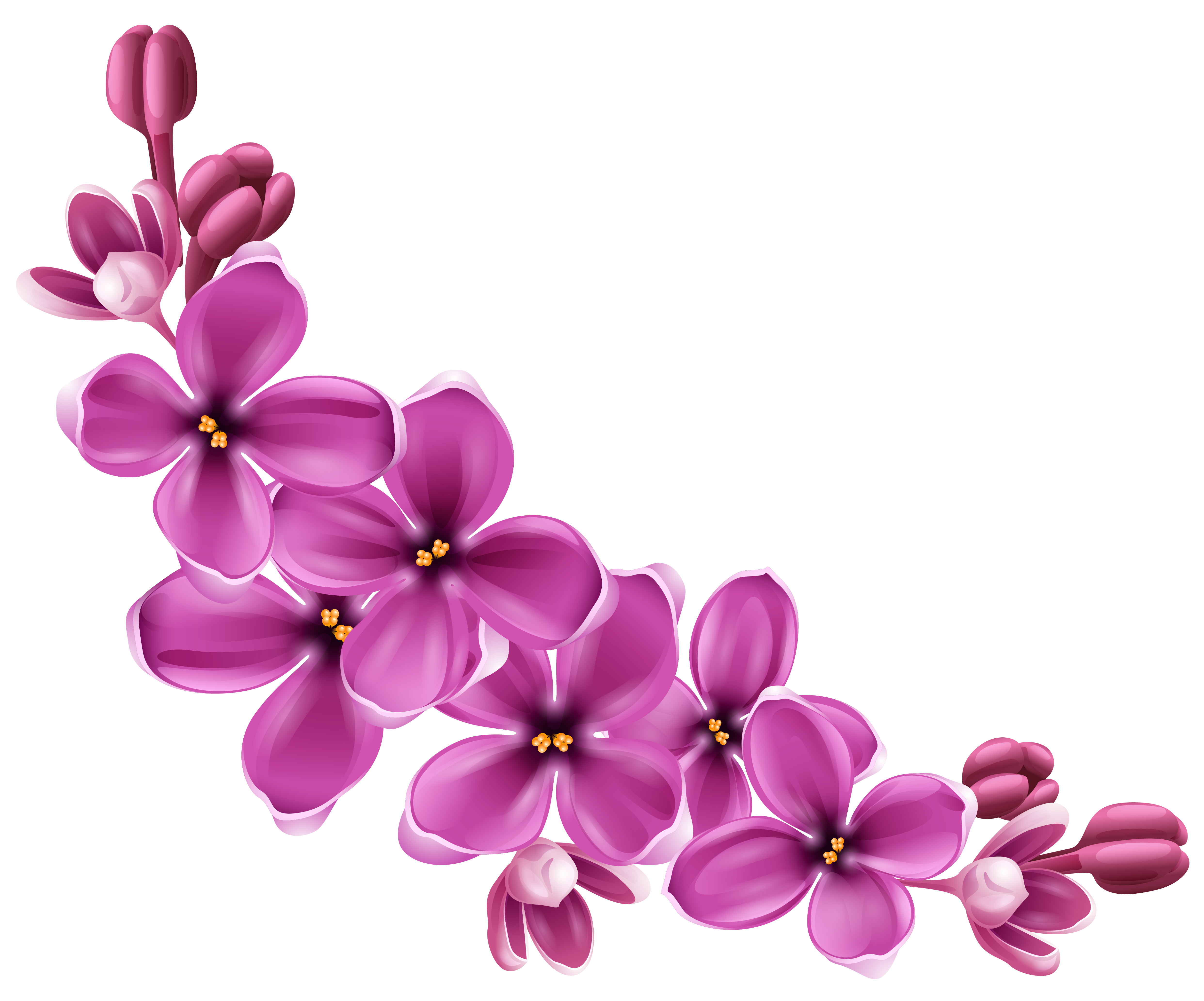 Flower Clip art - Flowers Png 9 png download - 4967*4131 - Free Transparent  Flower png Download. - Clip Art Library
