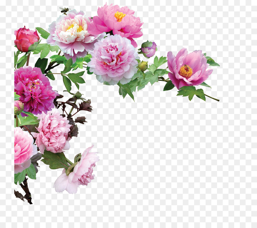 Flower - plant,Decorative corner png download - 800*800 - Free Transparent Flower png Download.