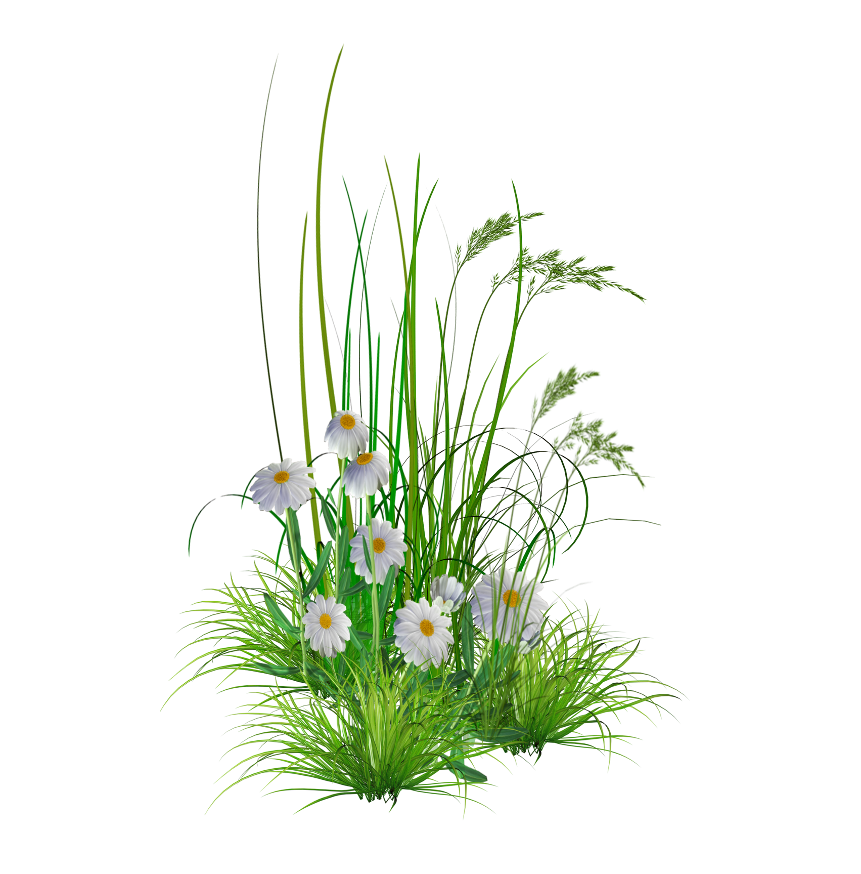 Flower garden Lawn Clip art - Transparent Flower Png Hd Background png ...