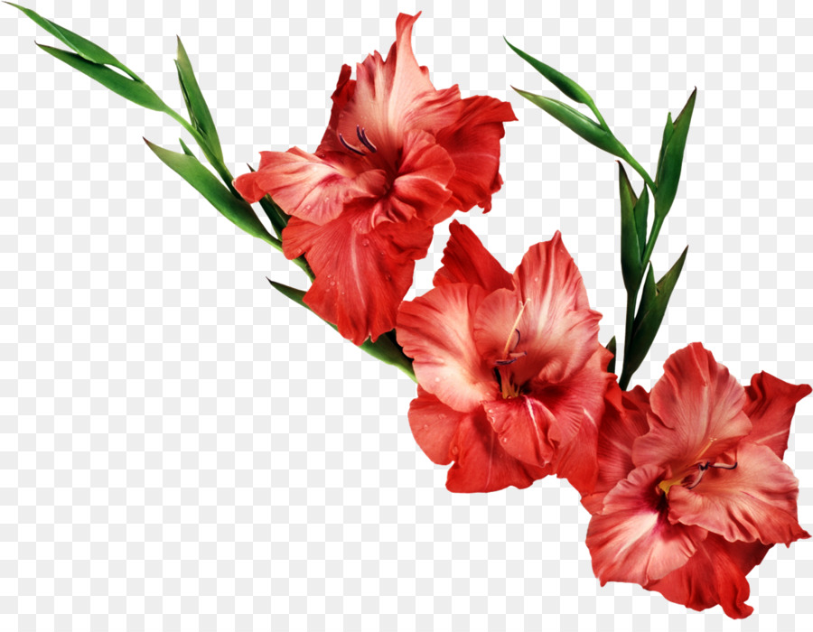 Free Flowers With Transparent Background, Download Free Flowers With Transparent  Background png images, Free ClipArts on Clipart Library